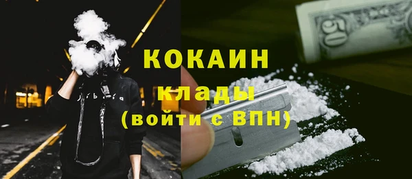 альфа пвп Гусев