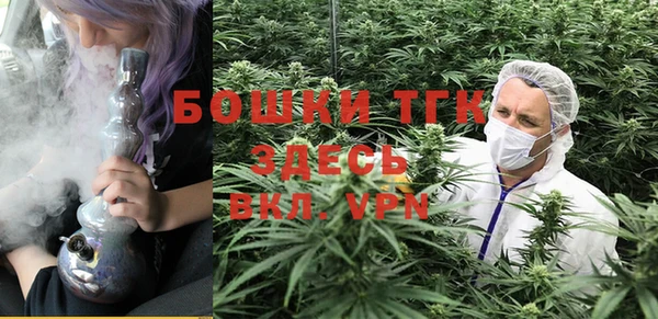 ALPHA PVP Гусиноозёрск