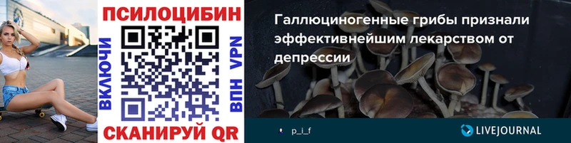цены   kraken как войти  Галлюциногенные грибы Cubensis  Озёры 